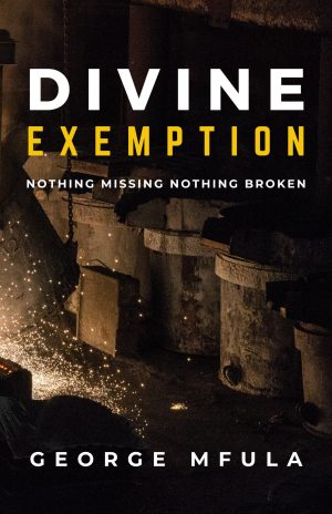 Divine Exemption I ePDF Downloadable