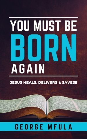 You Must Be Born Again I ePDF Downloadable